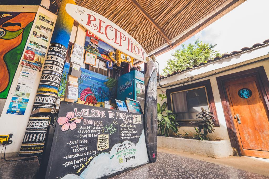 Pura Vida Hostel Tamarindo Luaran gambar