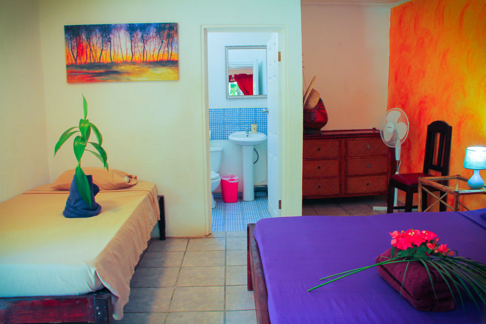 Pura Vida Hostel Tamarindo Luaran gambar